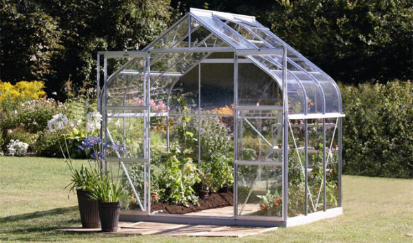Diana - Växthus Vitavia 5 - 11,5 m² - Bild 2