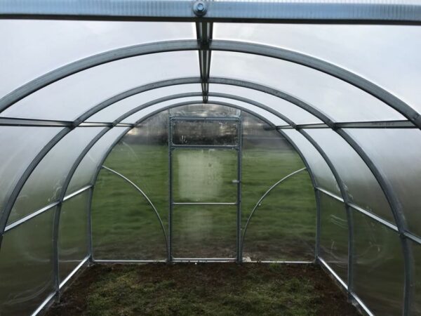 Tunnelväxthus Sigma - Stålväxthus 12 - 30 m² - Bild 6